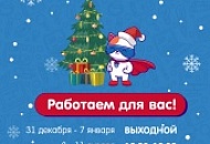 Режим работы на Новогодние каникулы Режим работы на Новогодние каникулы